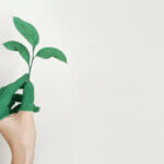 green_1