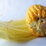 corn-390288_1920