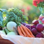 vegetables-2485055_1920